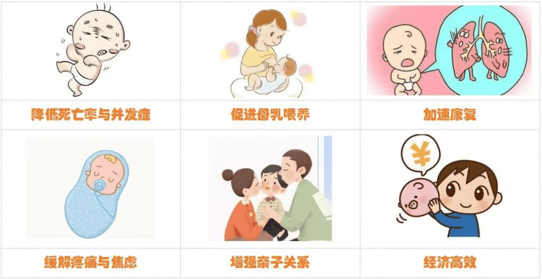 袋鼠月子护理